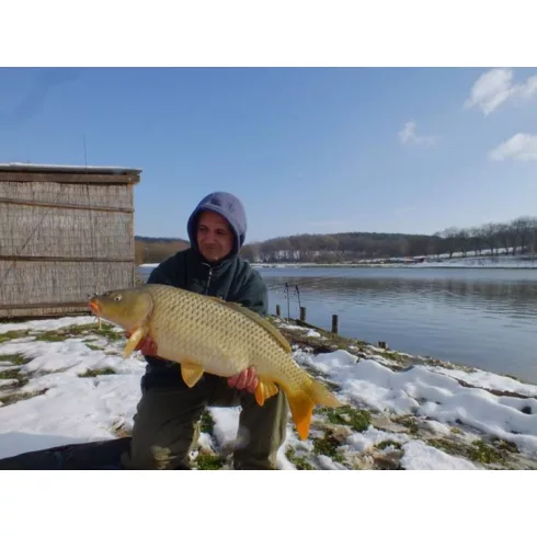 Squid and Octopus (Tintahal és polip) - Carp Friend Baits aroma 50ml