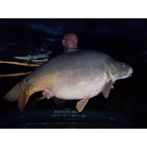 CFB DSW Deep Sea World Bojli 