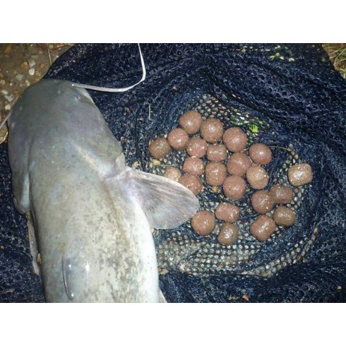 CFB DSW Deep Sea World Bojli 