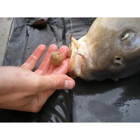 CFB RED "BEAST" LIVER Bojli 