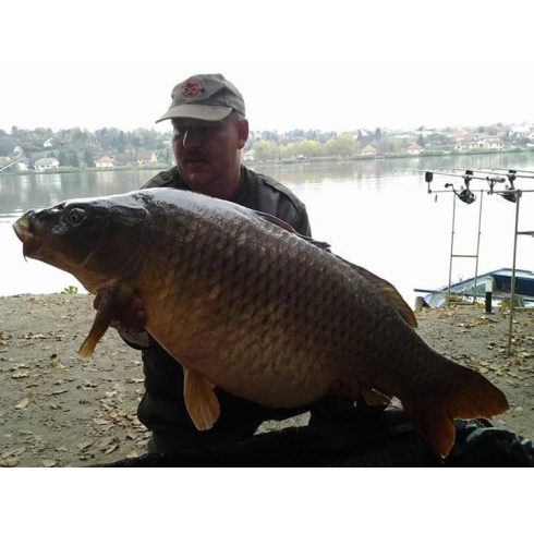 CFB RED "BEAST" LIVER Bojli 