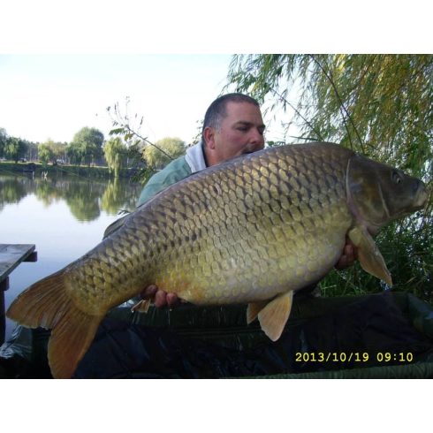 CFB RED "BEAST" LIVER Bojli 