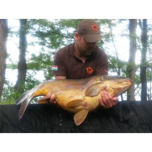 CFB GREEN BEAST Bojli 