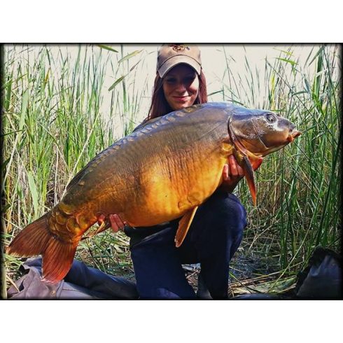 CFB GREEN BEAST Bojli 