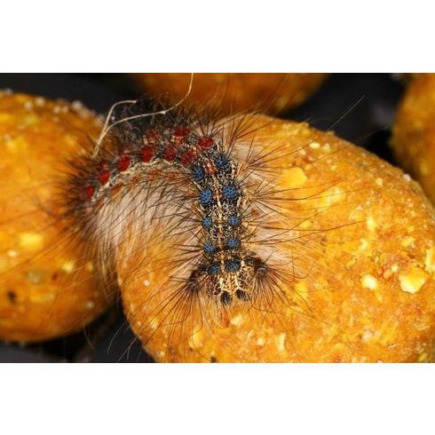 CFB SUNSHINE (Ananász-Banán-VAJSAV) Bojli 