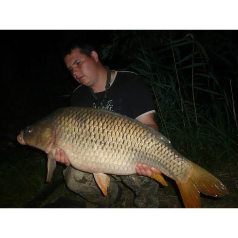 CFB SUNSHINE (Ananász-Banán-VAJSAV) Bojli 