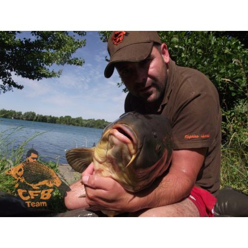 CFB NATUR BALATON Natur Szénhidrát Bojli 