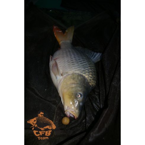 CFB NATUR BALATON Natur Szénhidrát Bojli 