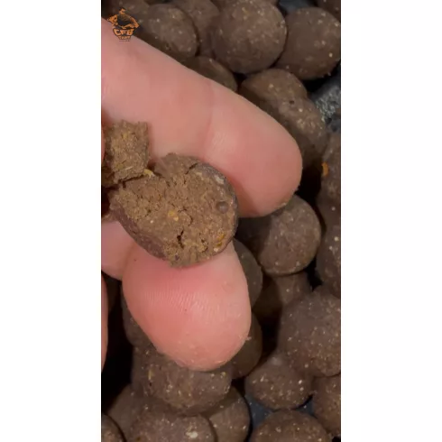 CFB Black Jack bojli  Squid&Octopus