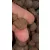 CFB Black Jack bojli  Squid&Octopus