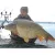 CFB MONSTERFISH Bojli