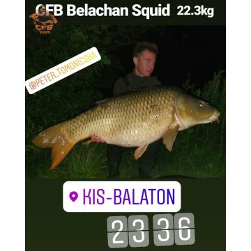 CFB BELACHAN SQUID  Bojli