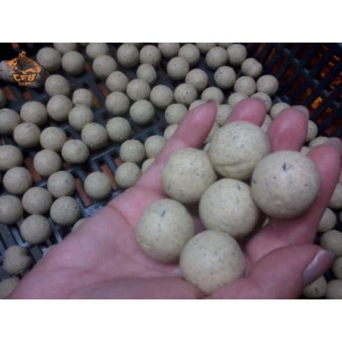 CFB CREAM DREAM Bojli   