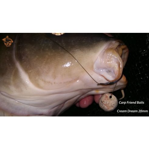 CFB CREAM DREAM Bojli   