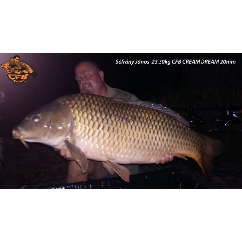 CFB CREAM DREAM Bojli   