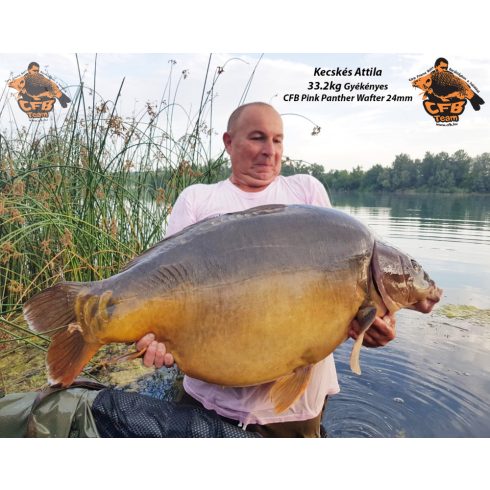 PINK PANTHER Oldódó Bojli