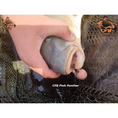 PINK PANTHER Oldódó Bojli