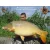 CFB FULL FISH Bojli