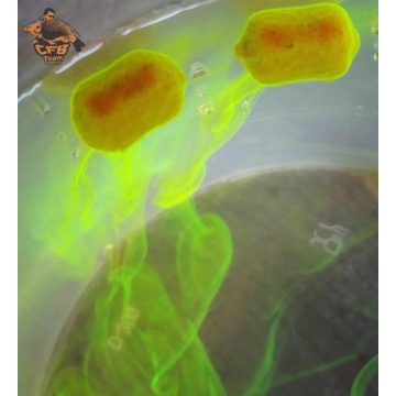 CFB FLUO GHOST POPUP 6mm-10mm-10*14mm (20g)