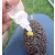 FEEDER METHOD AROMA 10ml 