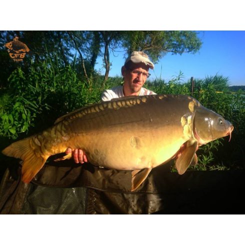 CFB  Csípős Barack HOT BIRD