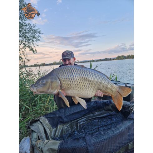 CFB HOT HEMP bojli Kender,Tigrismogyoró,fűszerek