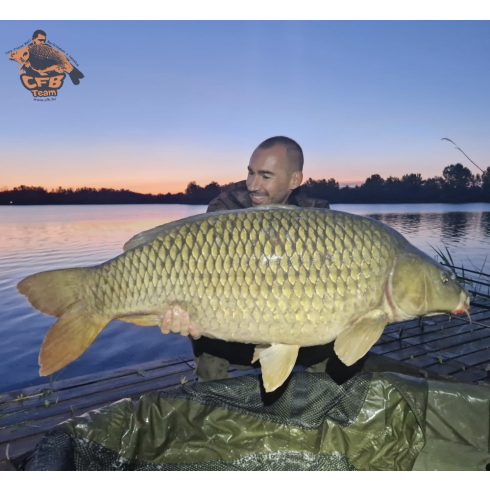 CFB HOT HEMP bojli Kender,Tigrismogyoró,fűszerek