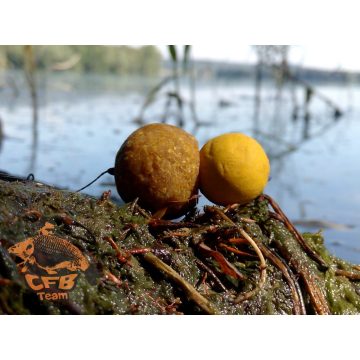 CFB NATUR SOUR Bojli SZEZON ZÁRÓ ÁR!
