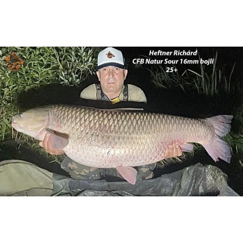 CFB NATUR SOUR Bojli SZEZON ZÁRÓ ÁR!