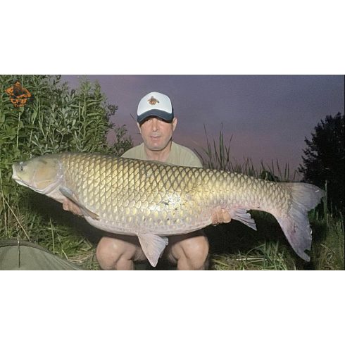 CFB NATUR SOUR Bojli SZEZON ZÁRÓ ÁR!