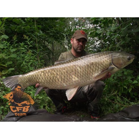 CFB NATUR SOUR Bojli SZEZON ZÁRÓ ÁR!