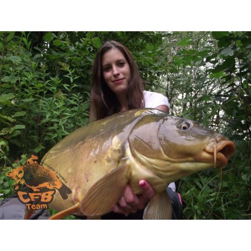 CFB NATUR SOUR Bojli SZEZON ZÁRÓ ÁR!