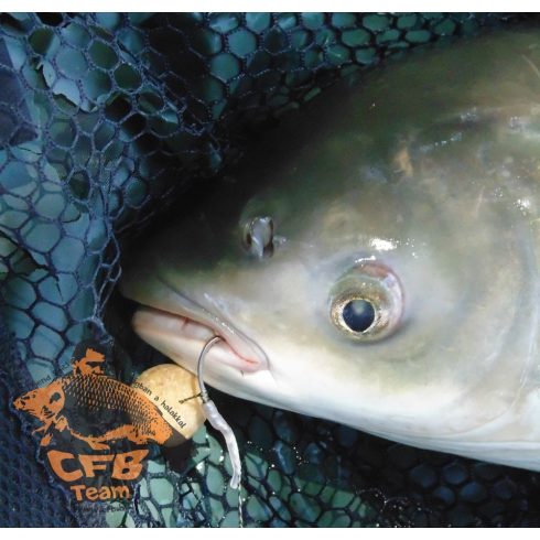 CFB NATUR SOUR Bojli SZEZON ZÁRÓ ÁR!