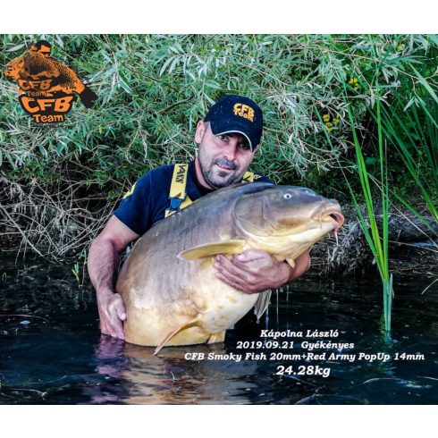CFB SMOKY FISH Bojli 