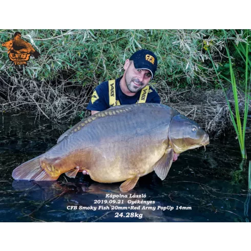 CFB SMOKY FISH Bojli 