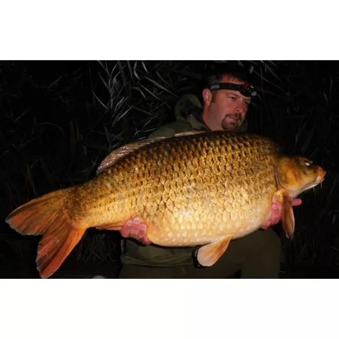 CFB SMOKY FISH Bojli 