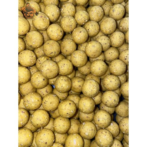 CFB  SWEETCORN 2022 Csemegekukorica Bojli