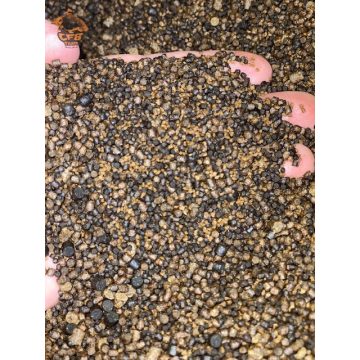 Tavaszi Pellet Mix 1kg 1-4mm