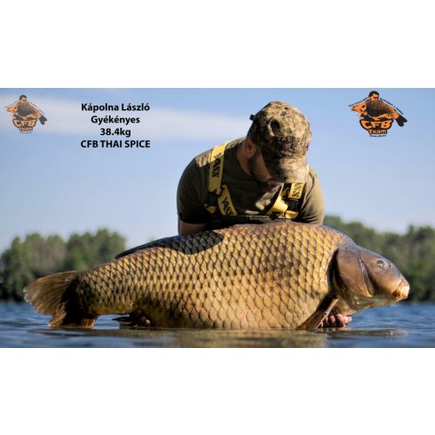 CFB THAI SPICE  Bojli 