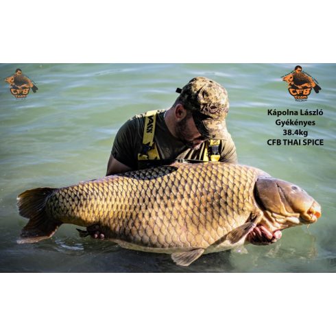 CFB THAI SPICE  Bojli 