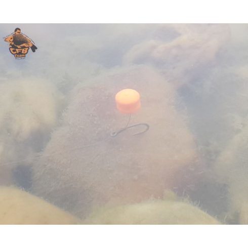 CFB FLUO WAFTERS 8mm   (20g)