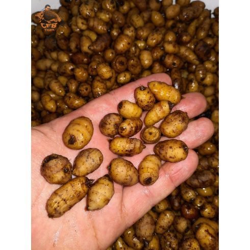 Csalizó Extra Tigrismogyoró XXL 